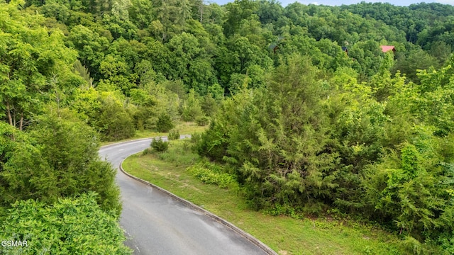 LOT159 Eagle Feather Dr, Sevierville, TN 37876 - photo 12