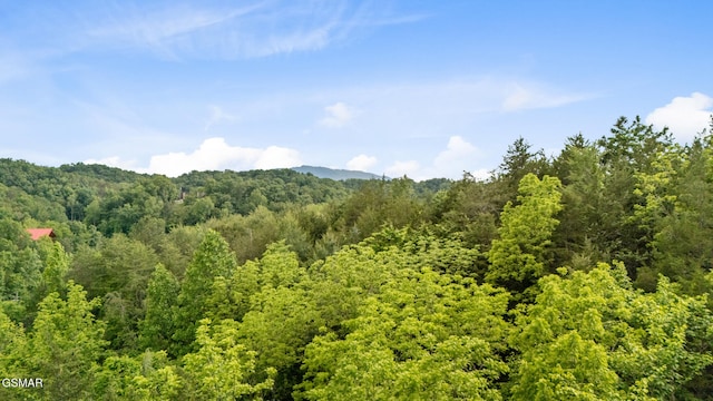 LOT159 Eagle Feather Dr, Sevierville, TN 37876 - photo 4