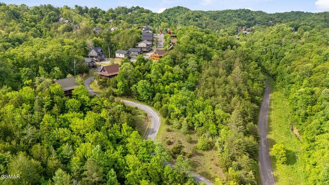 LOT159 Eagle Feather Dr, Sevierville, TN 37876 - photo 6