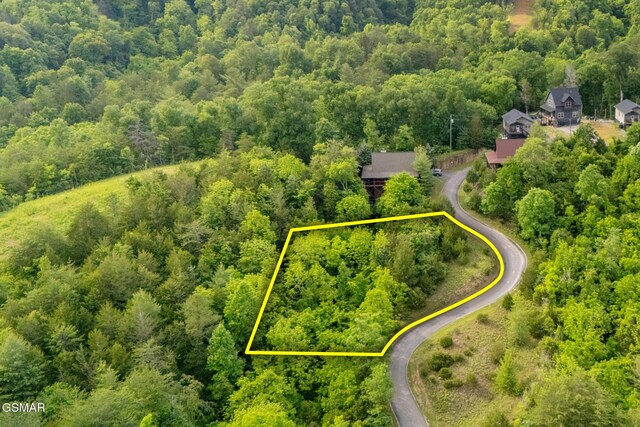 LOT159 Eagle Feather Dr, Sevierville, TN 37876 - photo 1
