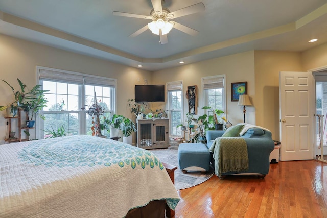 bedroom with multiple windows, wood-type flooring, a tray ceiling, and ceiling fan