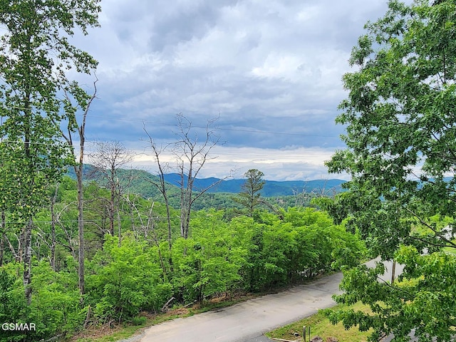 3216 Emerald Springs Loop, Sevierville, TN 37862 - mountain view