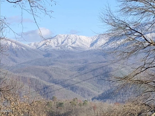 1530 Zurich Rd, Gatlinburg, TN 37738 - photo 58
