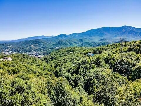 1530 Zurich Rd, Gatlinburg, TN 37738 - photo 60