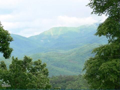 1530 Zurich Rd, Gatlinburg, TN 37738 - photo 59
