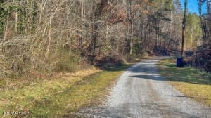 view of road with a wooded view