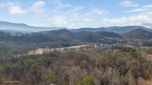 view of mountain feature with a wooded view