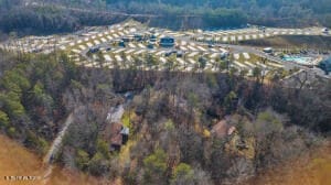 bird's eye view featuring a view of trees