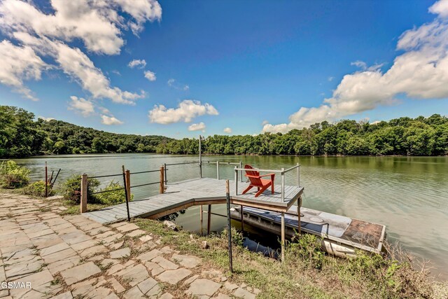 1843 River Vista Cir, Sevierville, TN 37876 - photo 52