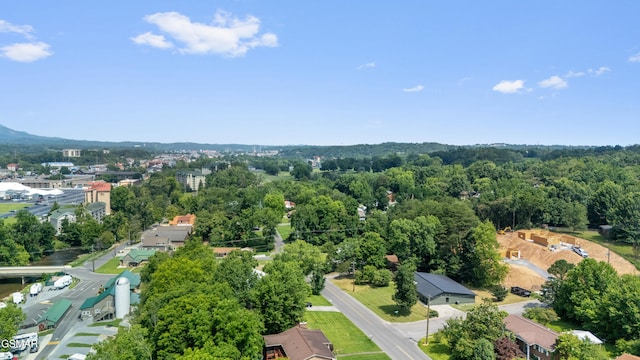 4015 Hitching Post Rd, Pigeon Forge, TN 37863 - photo 3