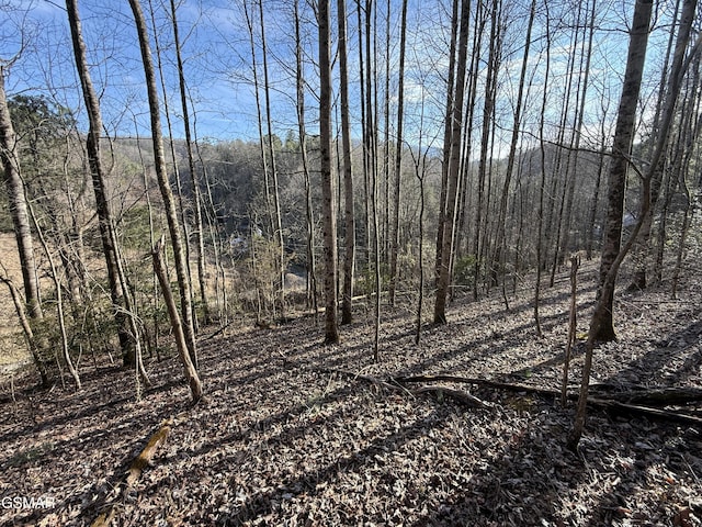 Listing photo 3 for 3.18ACRES Blue Mill Rd, Del Rio TN 37727