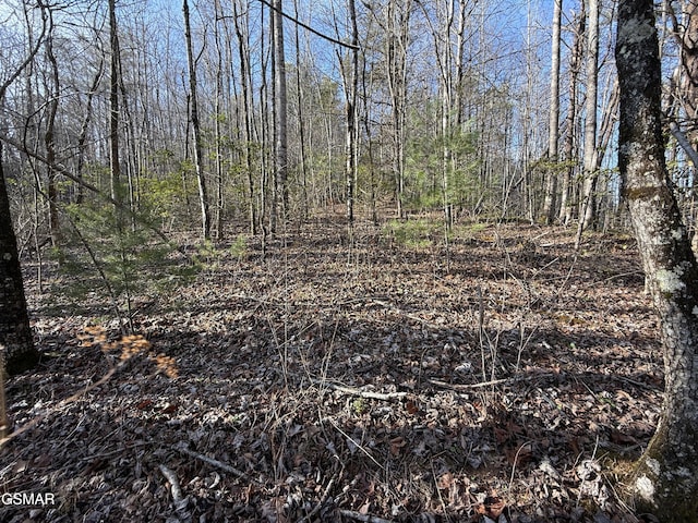 Listing photo 2 for 3.18ACRES Blue Mill Rd, Del Rio TN 37727