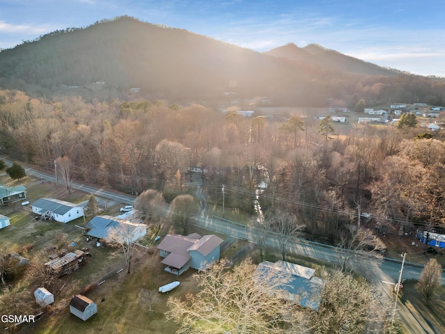 birds eye view of property with a mountain view