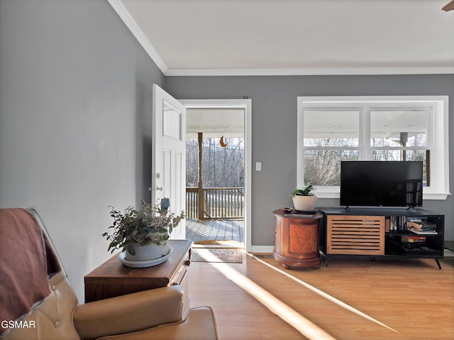 living room with crown molding and hardwood / wood-style floors