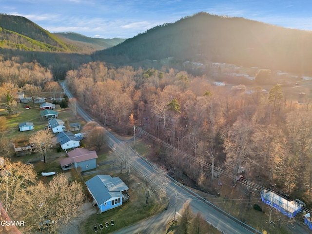 drone / aerial view with a mountain view