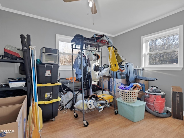 storage with ceiling fan