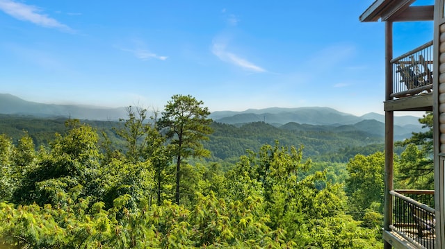 1890 Blue Tick Way, Sevierville, TN 37876 - photo 7