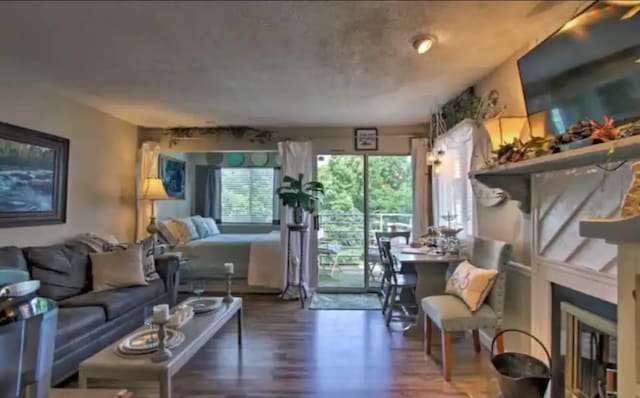 living room featuring wood-type flooring and a fireplace