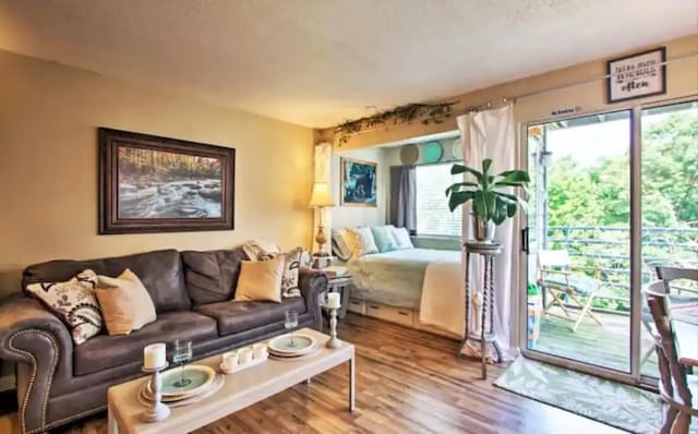 living room featuring hardwood / wood-style floors