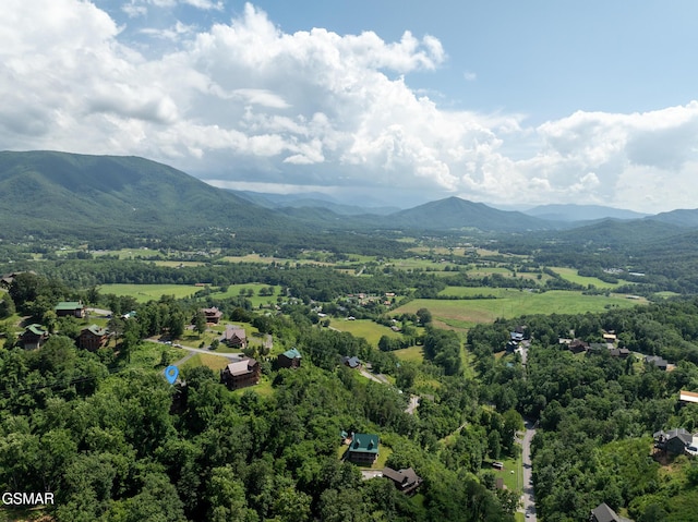 2494 Black Bear Ridge Way, Sevierville, TN 37862 - drone / aerial view of mountains