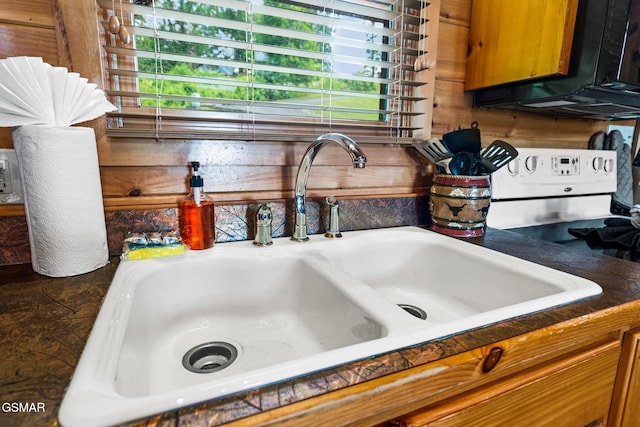 2494 Black Bear Ridge Way, Sevierville, TN 37862 - kitchen view of a sink and electric stove