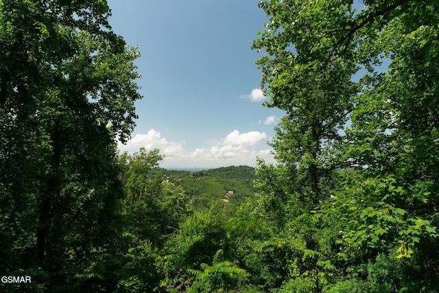 2494 Black Bear Ridge Way, Sevierville, TN 37862 - view of tree filled area