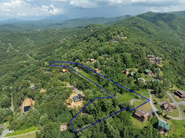 2494 Black Bear Ridge Way, Sevierville, TN 37862 - aerial view of property and surrounding area featuring property boundaries highlighted