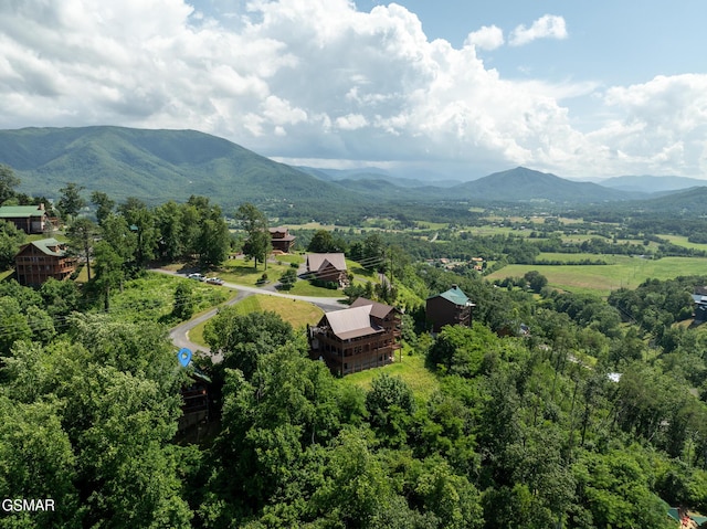 2494 Black Bear Ridge Way, Sevierville, TN 37862 - view of mountain backdrop