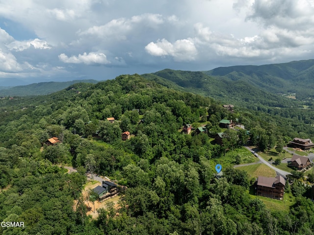2494 Black Bear Ridge Way, Sevierville, TN 37862 - bird's eye view of a mountainous background