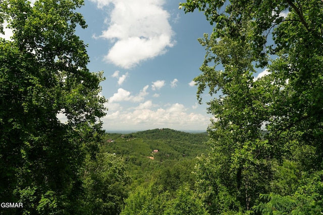 2494 Black Bear Ridge Way, Sevierville, TN 37862 - view of mountain backdrop with a heavily wooded area