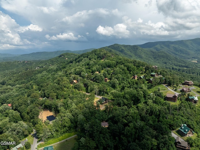 2494 Black Bear Ridge Way, Sevierville, TN 37862 - aerial view of property's location with a mountainous background