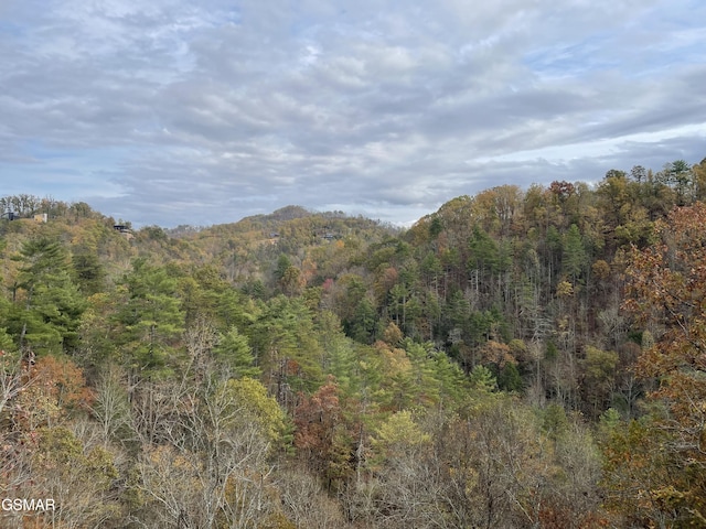 property view of mountains