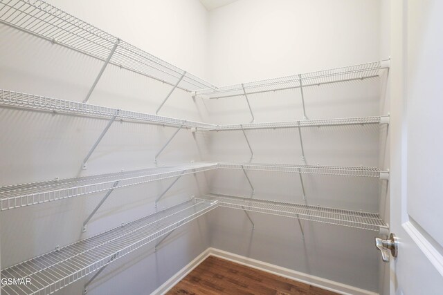 walk in closet with dark wood-type flooring