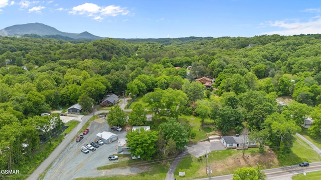 1011 Old Knoxville Hwy, Sevierville, TN 37862 - photo 40