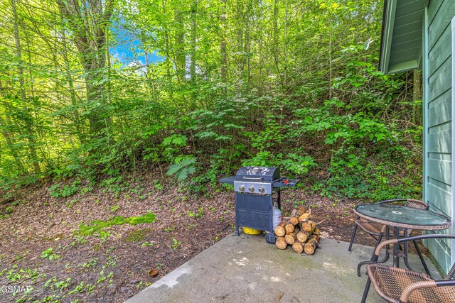 638 Morning Mist Way, Gatlinburg, TN 37738 - photo 20