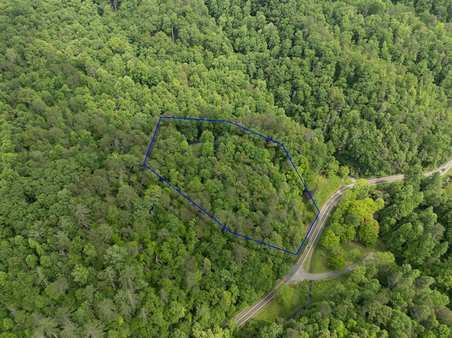 1008 Glades Rd, Gatlinburg, TN 37738 - aerial view of property's location featuring a forest and property boundaries highlighted