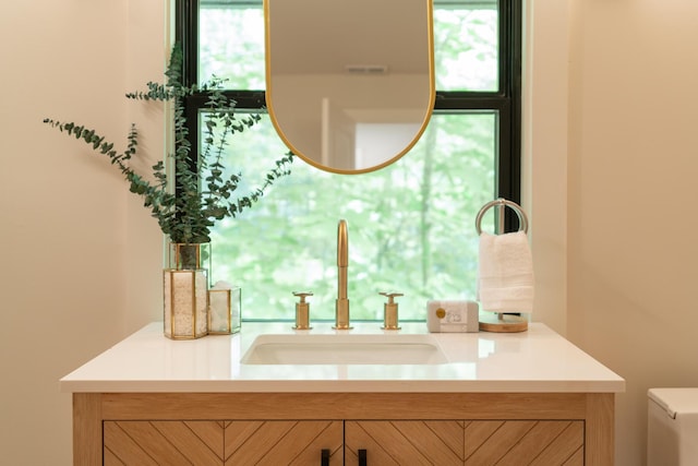 1008 Glades Rd, Gatlinburg, TN 37738 - half bath with vanity and toilet