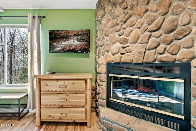 details with a stone fireplace and hardwood / wood-style flooring