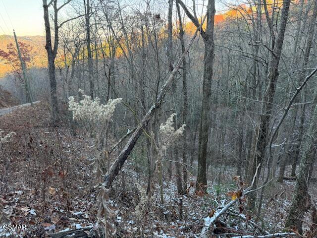 Listing photo 3 for LOT5 High Ridge Way, Sevierville TN 37862