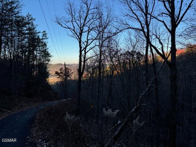 LOT5 High Ridge Way, Sevierville, TN 37862 - photo 8