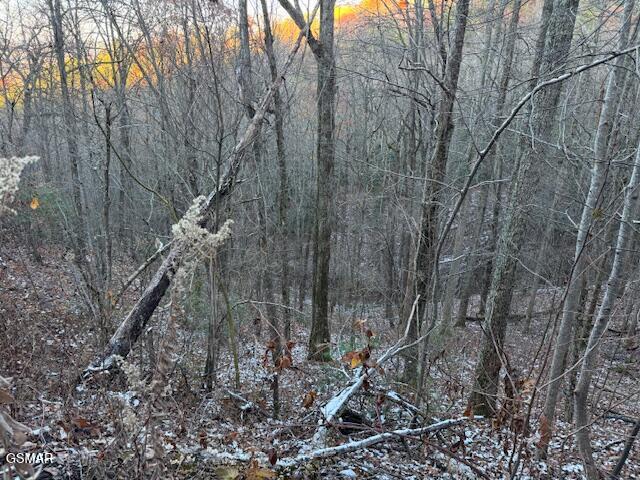 LOT5 High Ridge Way, Sevierville, TN 37862 - photo 4