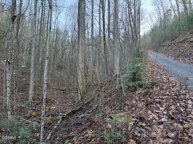 LOT5 High Ridge Way, Sevierville TN, 37862 land for sale