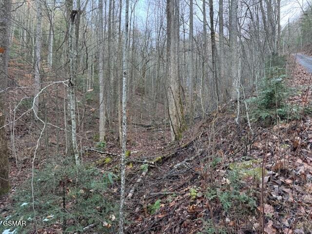LOT5 High Ridge Way, Sevierville, TN 37862 - photo 2