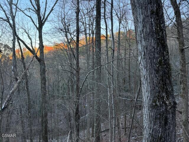 LOT5 High Ridge Way, Sevierville, TN 37862 - photo 6
