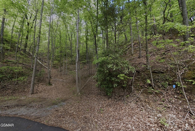 569 Ball Mountain Way, Gatlinburg, TN 37738 - photo 3