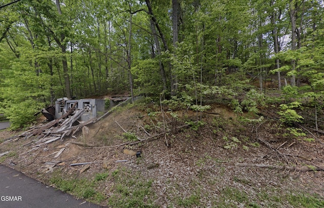 569 Ball Mountain Way, Gatlinburg, TN 37738 - photo 2