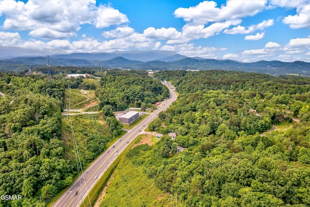 1012 Pinyon Cir, Pigeon Forge, TN 37863 - bird's eye view of a mountain backdrop