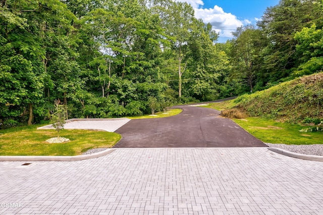 1012 Pinyon Cir, Pigeon Forge, TN 37863 - view of road