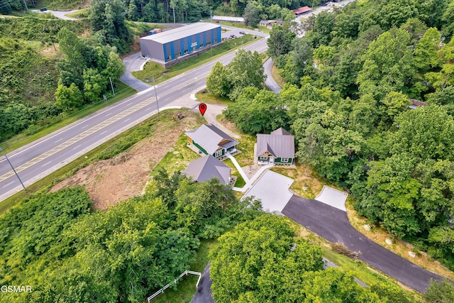 1012 Pinyon Cir, Pigeon Forge, TN 37863 - bird's eye view