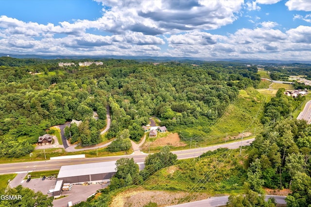 1012 Pinyon Cir, Pigeon Forge, TN 37863 - aerial view of a forest
